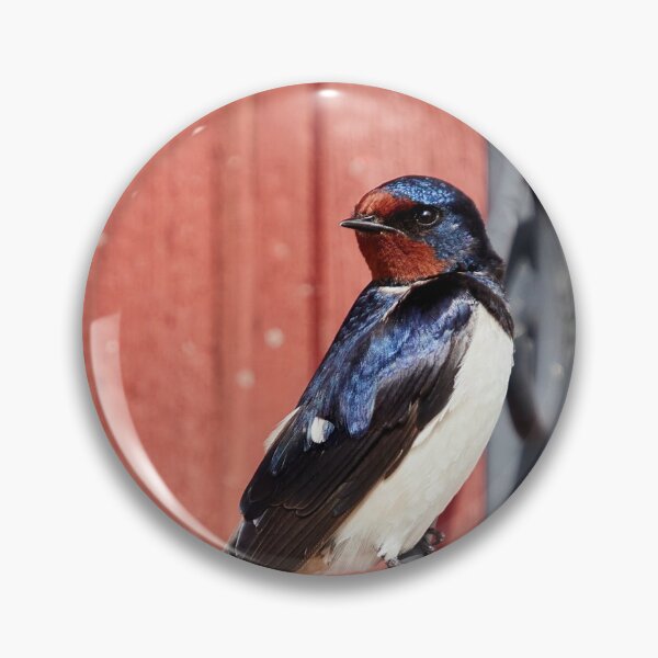 Item preview, The Pose. Barn swallow designed and sold by Jouko Lehto Photography.