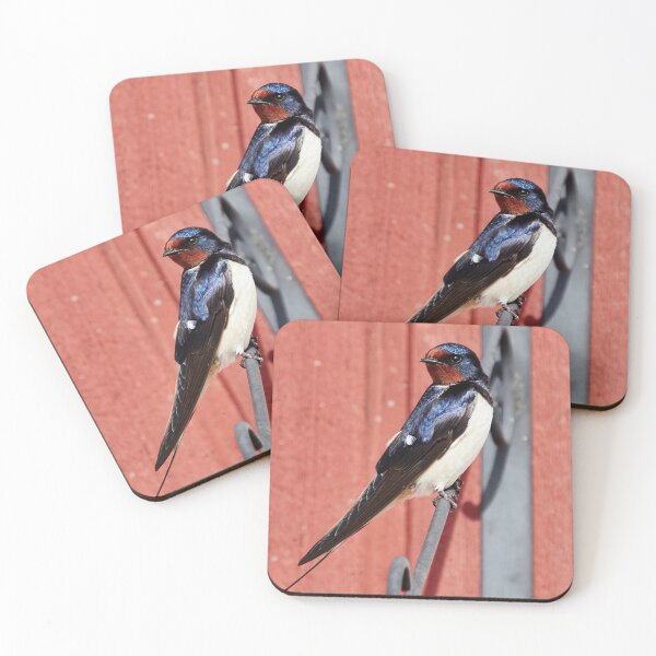 Item preview, The Pose. Barn swallow designed and sold by Jouko Lehto Photography.
