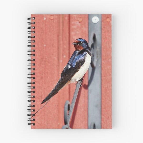 Item preview, The Pose. Barn swallow designed and sold by Jouko Lehto Photography.