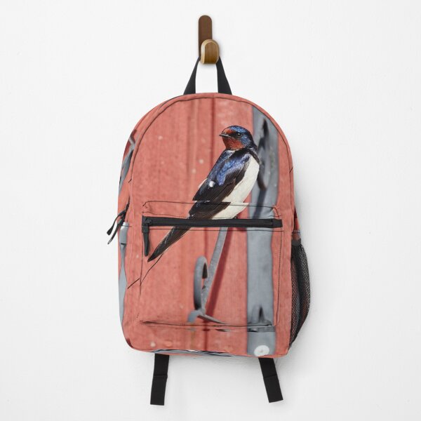 Item preview, The Pose. Barn swallow designed and sold by Jouko Lehto Photography.