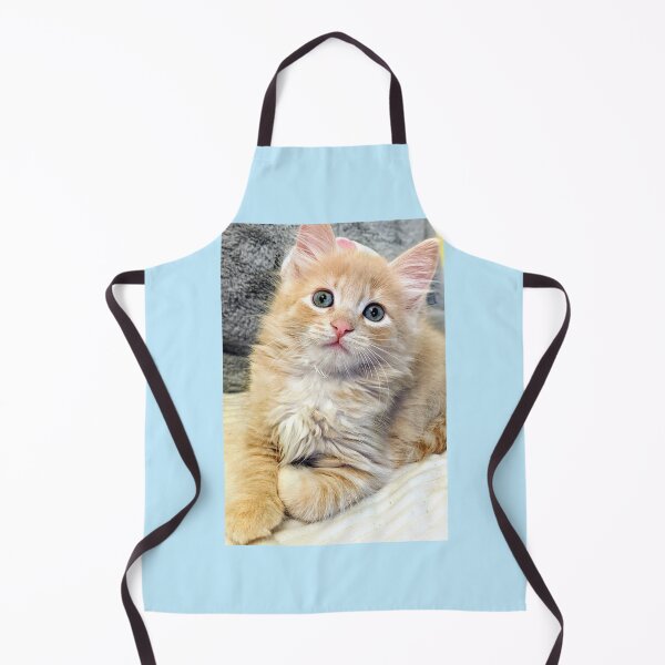 Item preview, Ragdoll Mainecoon kitten designed and sold by Fluffycat2020.