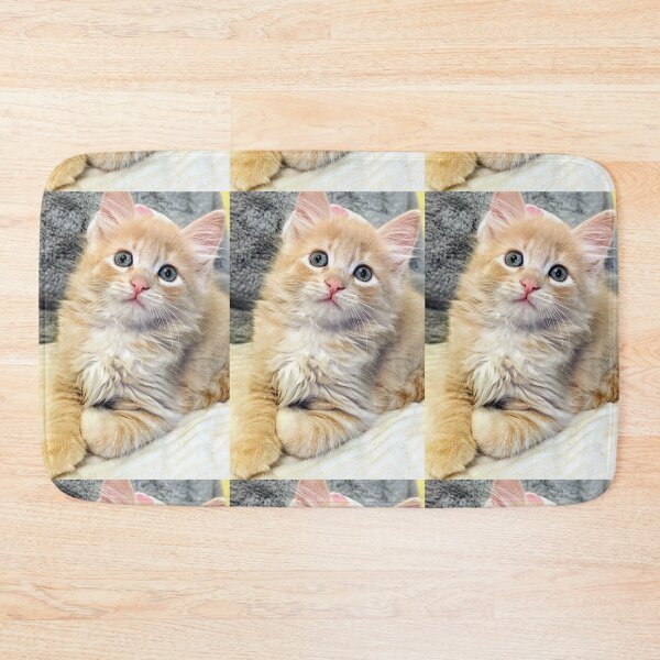 Item preview, Ragdoll Mainecoon kitten designed and sold by Fluffycat2020.