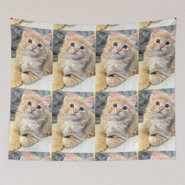 Item preview, Ragdoll Mainecoon kitten designed and sold by Fluffycat2020.