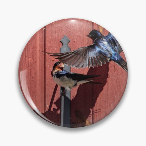 Item preview, Surprise. Barn swallow designed and sold by Jouko Lehto Photography.