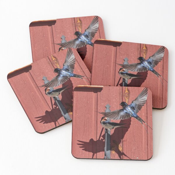Item preview, Surprise. Barn swallow designed and sold by Jouko Lehto Photography.
