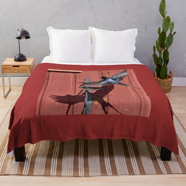 Item preview, Surprise. Barn swallow designed and sold by Jouko Lehto Photography.