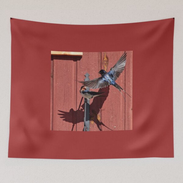 Item preview, Surprise. Barn swallow designed and sold by Jouko Lehto Photography.