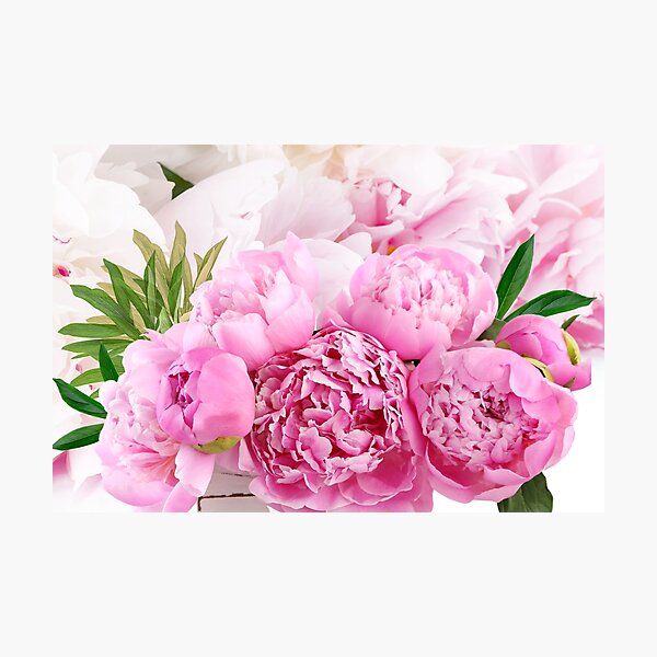 Item preview, Shabby Chic Peonies Blossoms Leaves Pink Home Decor designed and sold by DiverseVisionsHarmony.