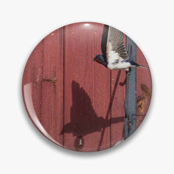 Item preview, Following the shadow. Barn swallow designed and sold by Jouko Lehto Photography.