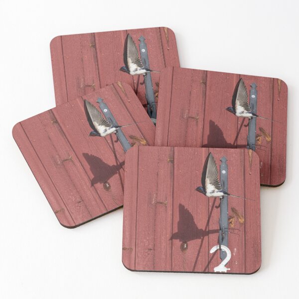 Item preview, Following the shadow. Barn swallow designed and sold by Jouko Lehto Photography.