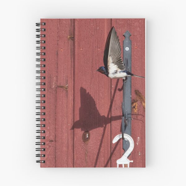 Item preview, Following the shadow. Barn swallow designed and sold by Jouko Lehto Photography.