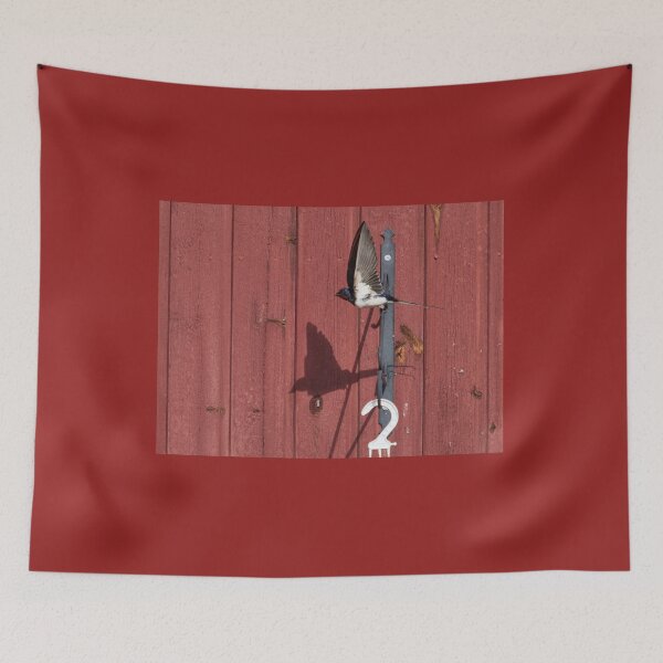 Item preview, Following the shadow. Barn swallow designed and sold by Jouko Lehto Photography.