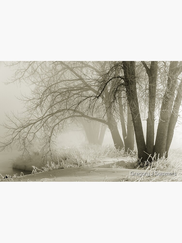 Ghosts In The Mist by nikongreg