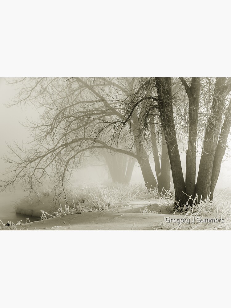 Ghosts In The Mist by nikongreg