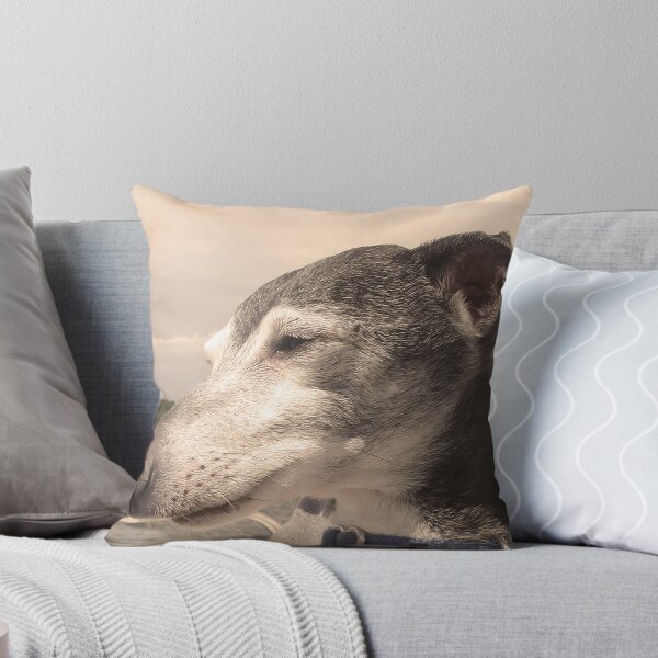 Item preview, Old Dog of the Bass River designed and sold by CWCards2013.