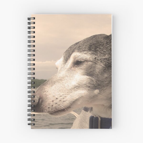 Item preview, Old Dog of the Bass River designed and sold by CWCards2013.