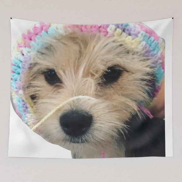 Item preview, duch  designed and sold by Aileenl07.