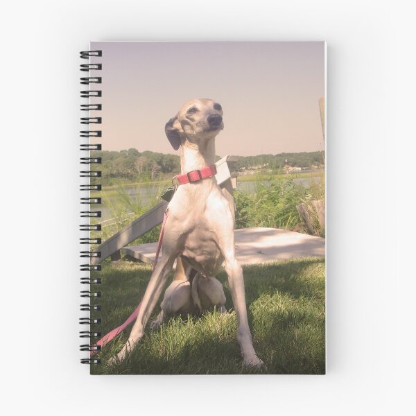 Item preview, Still Beautiful After All These Years designed and sold by CWCards2013.