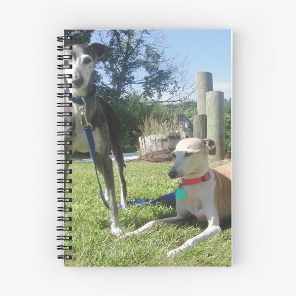Item preview, Downtime by the River designed and sold by CWCards2013.
