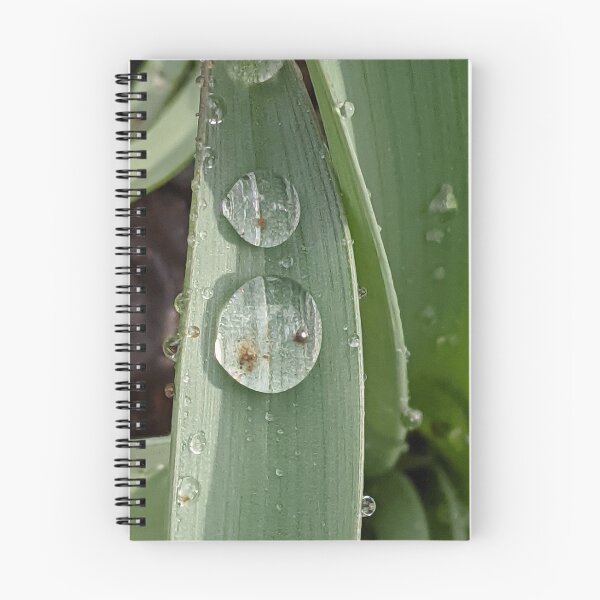 Item preview, Droplet designed and sold by Quirkyalonester.