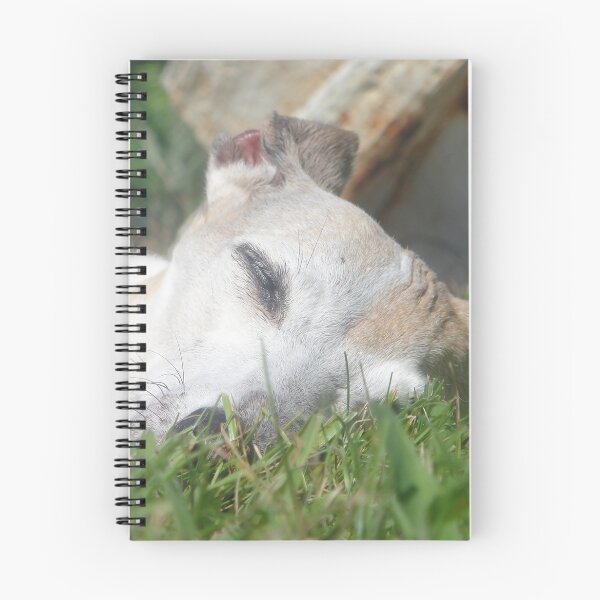 Item preview, Summer Siesta designed and sold by CWCards2013.