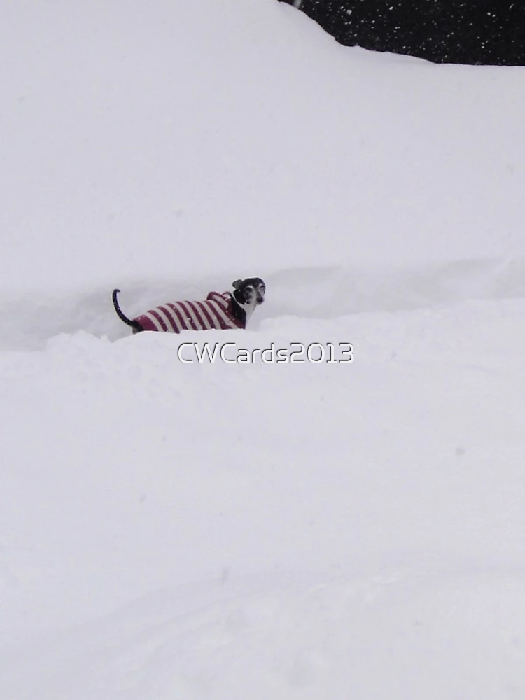 Thumbnail 5 of 5, iPhone Case, Snowbound Charlie designed and sold by CWCards2013.