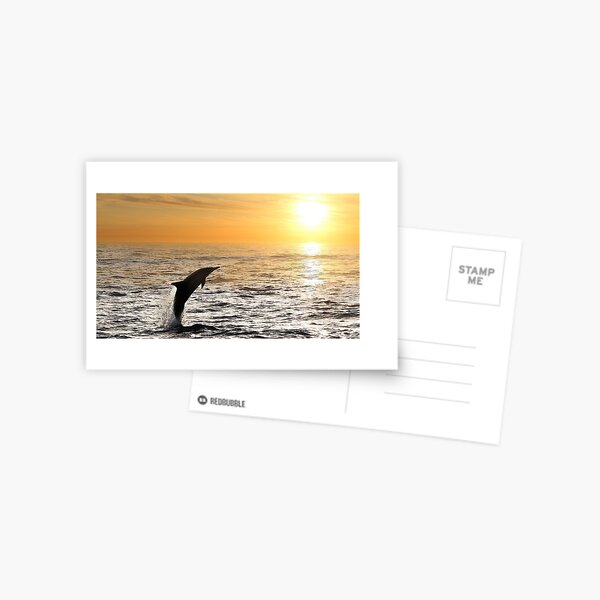 Item preview, Panoramic,widescreen prints,Tapestries,Tapestry,throw blankets,comforters,duvet covers ,shower curtains,dolphin wall art,dolphin art, ocean, sea, blue, fish, dolphin designed and sold by eyesight4vision.