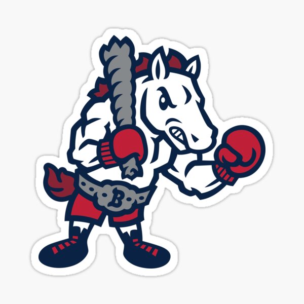 Binghamton Rumble Ponies on X:  / X