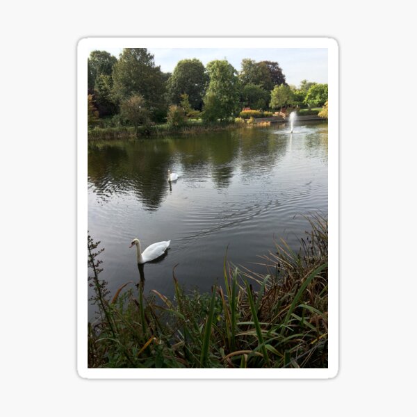 Bletchley Swans Sticker