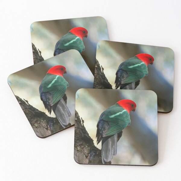 Item preview, King Parrot looking down designed and sold by Robbie Alexander.