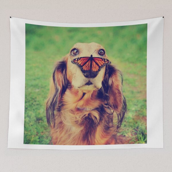 Item preview, Cute hairy dog picture designed and sold by ManiRanganaath.