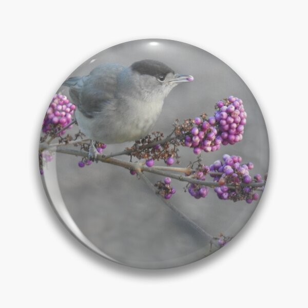 Item preview, blackcap with purple berries     designed and sold by Anita van Gendt.