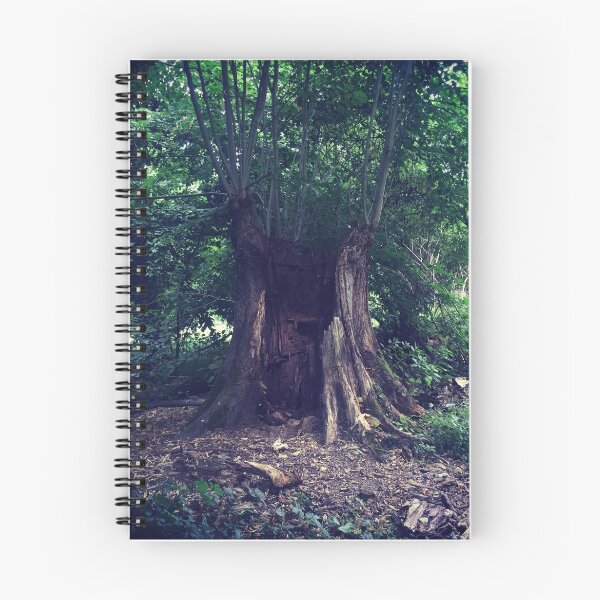Item preview, Hides within designed and sold by S.J. Scales.