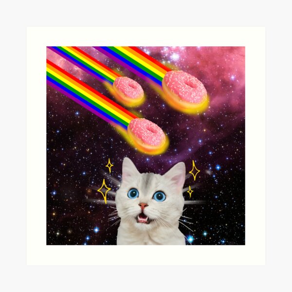 CAT IN SPACE DOUGHNUT GALAXY STARS FUNNY RAINBOW BEACH PARTY Leggings for  Sale by CeraRoss