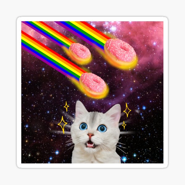 Meme Cat Riding On Flying Outer Space Rainbow Unicorn Random Galaxy Funny  Cute Awesome Epic Solar System Fantasy Parody Cool Wall Decor Art Print