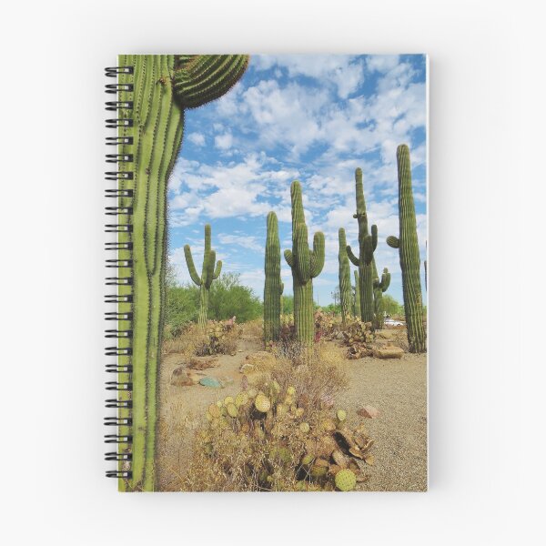 Item preview, Cactus designed and sold by Alberto  DeJesus.