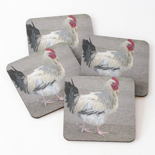 Item preview, The Early Bird designed and sold by LizEllisPhotos.