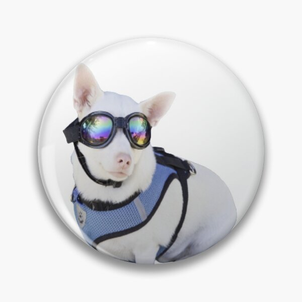 Item preview, Cute Dog Wearing Sunglasses designed and sold by sunnyxvibesss.