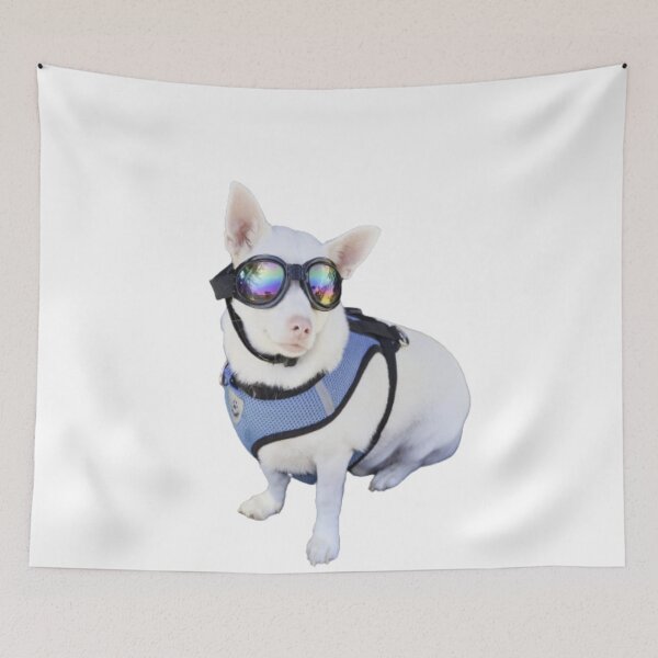 Item preview, Cute Dog Wearing Sunglasses designed and sold by sunnyxvibesss.