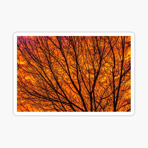Dance In The light Sticker