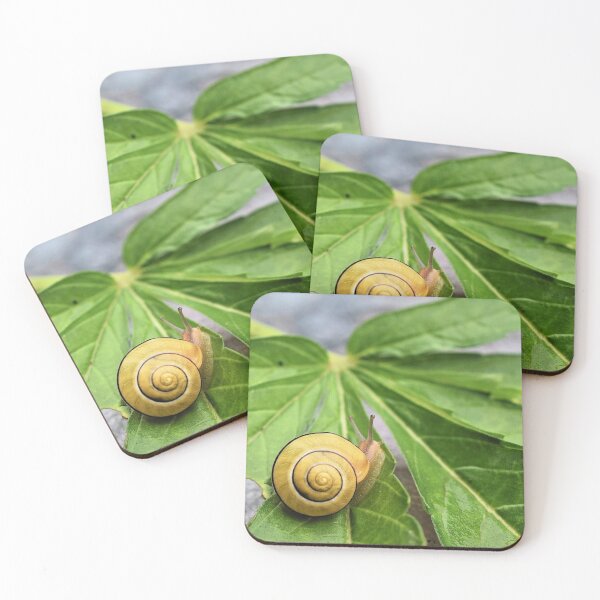 Item preview, Snail On... designed and sold by DonnaM.