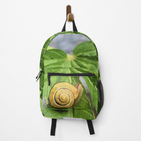 Item preview, Snail On... designed and sold by DonnaM.