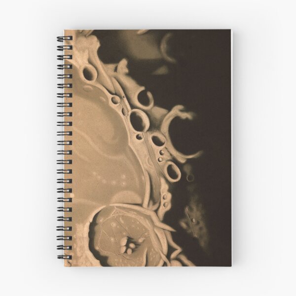 Item preview, Mare Humorum - Vintage Astronomy designed and sold by OddPop.