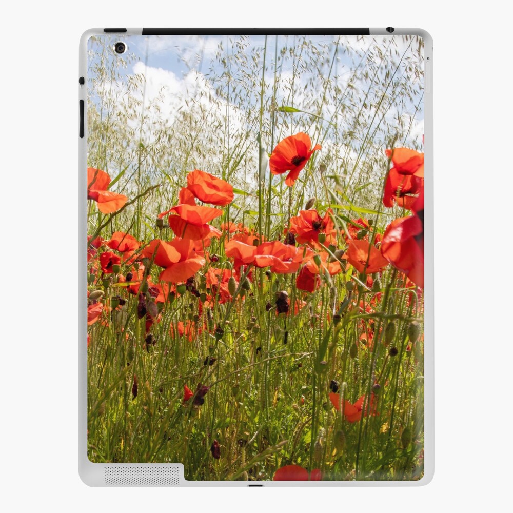Item preview, iPad Skin designed and sold by DaveBond.