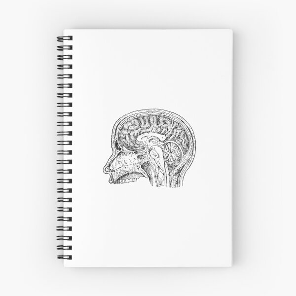 Item preview, skull designed and sold by mrtshirtguy.