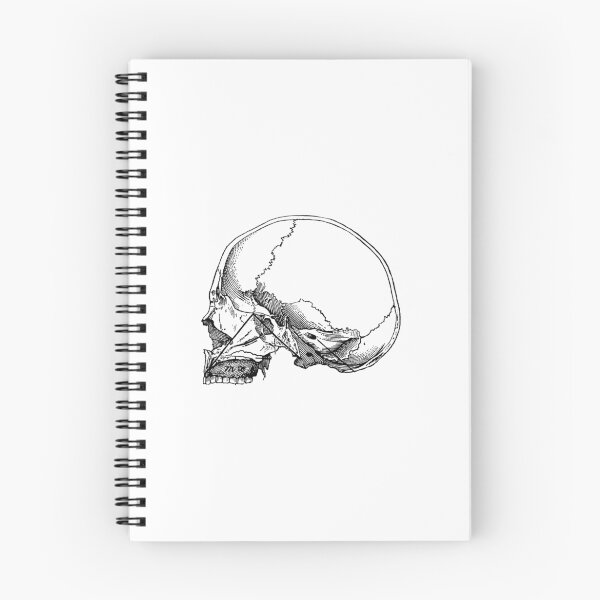 Item preview.