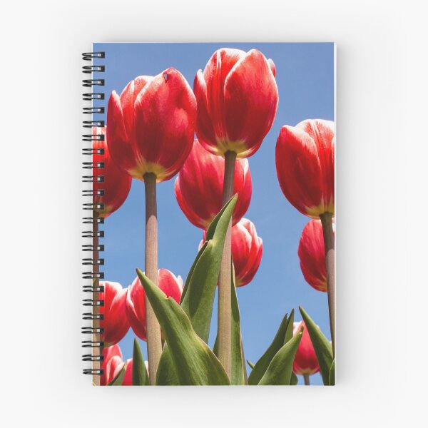 Item preview, Red Tulips - Long Island Photography - Flower Fields designed and sold by love-longisland.
