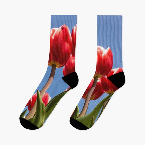 Item preview, Red Tulips - Long Island Photography - Flower Fields designed and sold by love-longisland.
