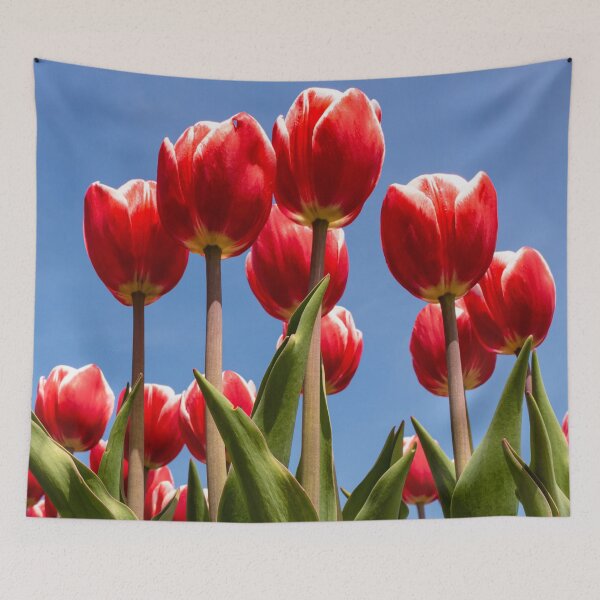 Item preview, Red Tulips - Long Island Photography - Flower Fields designed and sold by love-longisland.