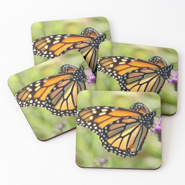Inspirational butterfly #1 Coasters (Set of 4)